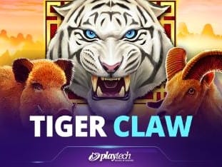 Tiger Claw game screenshot